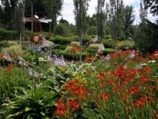 route-des-gerbes-dangelica-jardin-des-decouvertes-300x225.jpg