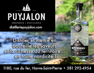 Pave Web Puyjalon Fr