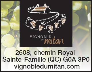 Pave Web Vignoble Du Mitan