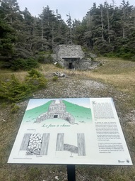 Image00003 Image00003