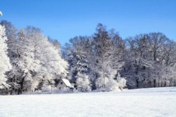 388-entete-winter-300x200.jpg