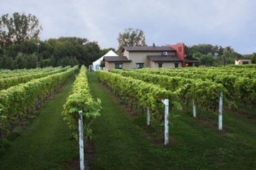 domainemernois-300x200.jpg