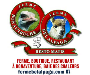 Ferme Bel Apaga Bon Autruch