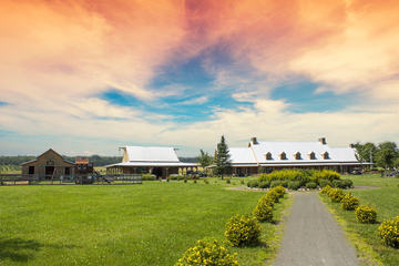 Ferme Nouvelle-France