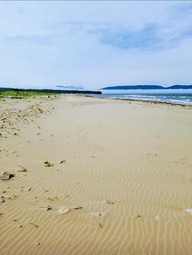 Plage Douglastown Plage Douglastown