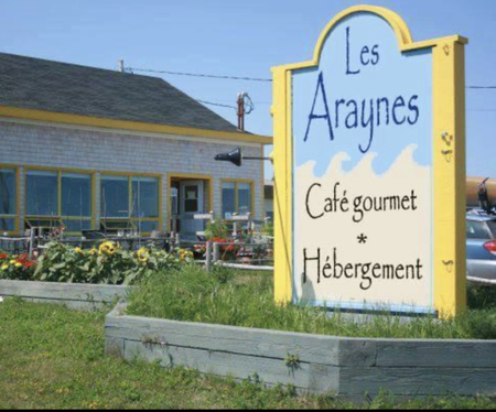 Araynes Araynes