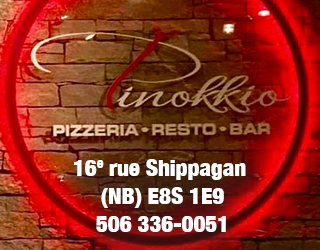 Pave Web  Pinokkio