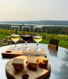 Vins québécois Vins québécois